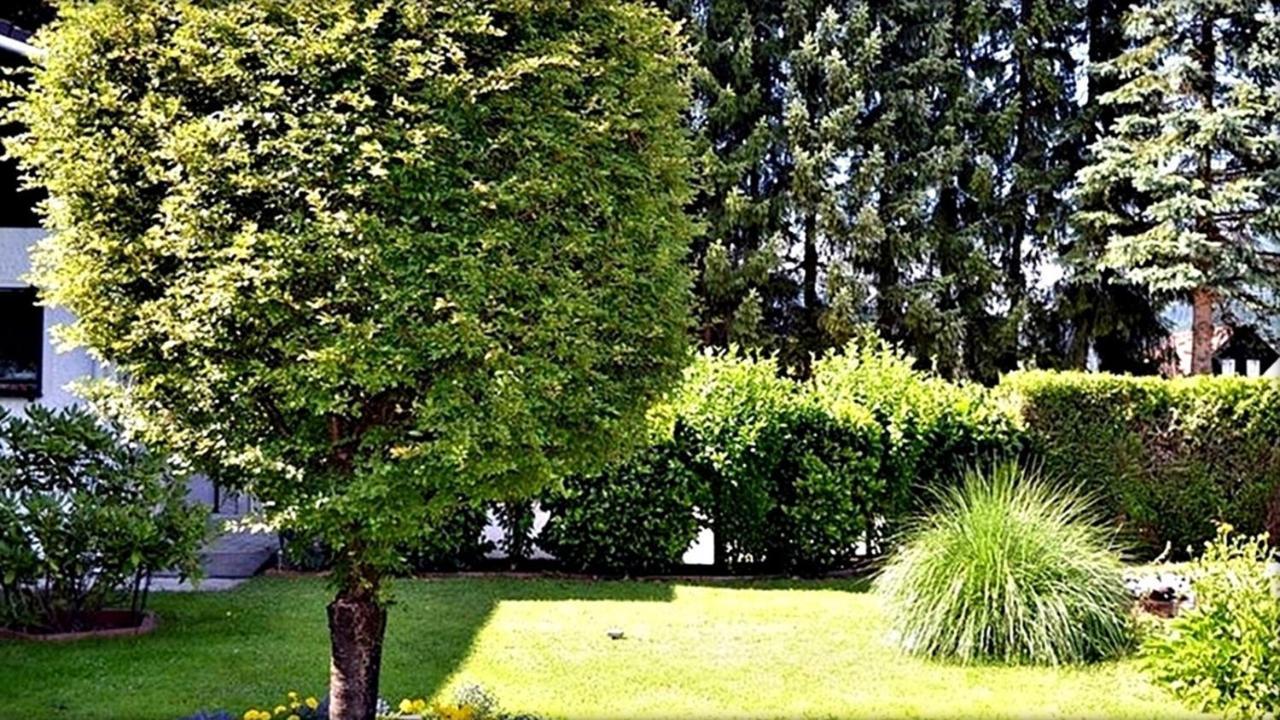 Ferienwohnung Neuhuber Bad Goisern Exterior foto